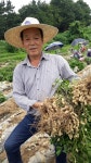 예천 두레농장 땅콩 2kg : 민생상회