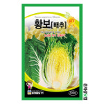 황보배추 300립 / 웰빙채소 베란다텃밭 배추씨앗 주말농장 : 온세상닷컴1
