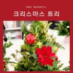 크리스마스 생화트리 만들기 5세트 : 로뎀플랜테리어