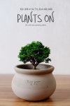 묵은주 청짜보 두갸르송 그레이 자르 포함 약 16cm /  듀가르송 / deuxgarcons Hinoki Cypress : 플랜츠온