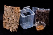 타란튤라 사육세트(미니 높이) / 절지류 애완거미 파충류케이지 타란튤라사육장 : 파충류사육장 온라인스토어