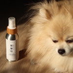바스몽 강아지 천연 미스트 애견 향수 정전기 엉킨털 에센스 몽블링 100ml : 바스몽
