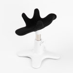 발상 샘슨살롱 반려동물 전용 미용의자 반려견 강아지용품 : 뉴템 스토어