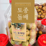 토종돌배 산돌배 5kg, 10kg 술 담금용, 효소 담금용 : 펀치볼 물골농원