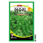어수리 1g / 어수리씨앗 토속나물씨앗 주말농장 베란다텃밭 : 온세상닷컴1