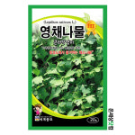 영채나물 20g / 영채나물씨 큰다닥냉이씨앗 토속나물 주말농장 베란다텃밭 : 온세상닷컴1