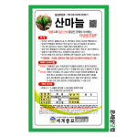 산마늘 40립 / 산마늘씨앗 명이나물씨 종자 토속나물 주말농장 베란다텃밭 : 온세상닷컴1