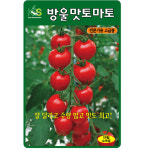 방울 토마토 씨앗 50립 미니 토마토씨 종자 키우기 : 스토어 영농사