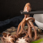 통낙지가 3마리나 들어간 연포탕 2인분 밀키트 : 맛수러움