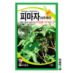 피마자 10립 / 피마자씨앗 아주까리씨 종자 토속나물 주말농장 베란다텃밭 : 온세상닷컴1