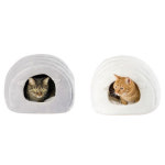 길고양이 숨숨집 동굴 패딩 하우스 : 달빛마켓