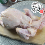 약간 하자 있는 국내산 냉장 생닭 900g 1kg 백숙용 육계 통닭 : 대한민국맛집