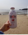 홈카페 수제청 생과일 생딸기 썬양 수제 딸기 우유 300ml / 500ml : 썬양마켓