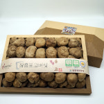 장흥 표고버섯 선물세트 유기농 동고 세트 400g /500g 소나무숲에서 자연 노지재배 : 싱싱마루