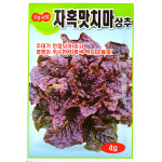 자혹맛치마 상추 4g : 중앙종묘농약사