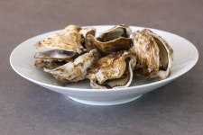 1kg 통영 매일 채취 수출용 삼배체굴 사계절굴 석화 석굴 반손질 하프셀 : 마이어니스트테이블