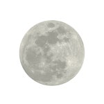 [달에 어울리는 향] MOOON 문 섬유향수 6종 : MOOON