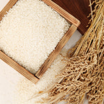 25년산 햅쌀 백진주쌀 20kg : 업성정미소