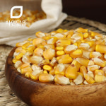 국산 노란 말린옥수수알 알갱이 1kg : 자연닮음
