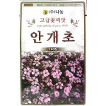안개초 100립 : 제일농약사