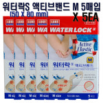 루크 워터락S 액티브밴드 M 5매입 X 5개 : 자연건강메디컬