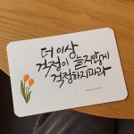 캘리그라피엽서 : 나무모