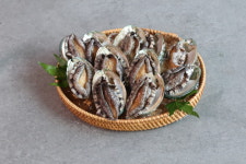 [솔,미역,가방포함] 활전복 특특대사이즈 8미부터 1kg 청경전복 선물세트 진도전복 : 청경 전복