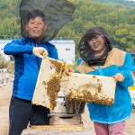 32 창녕꿀벌농장 100%국산 천연벌꿀 아카시아꿀 잡화꿀 숙성꿀 2.4kg : 줌마줌마