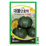 대불단호박 30립 / 호박씨 호박씨앗 텃밭채소 주말농장 : 온세상닷컴1