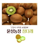 참다래 그린키위 헤이워드 3Kg 22과 ~ 25과 내외 나주 윤성농장 산지배송 : 해피굿팜