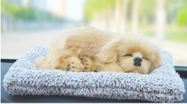 강아지 제습인형 잠자는 고양이 리얼펫 탈취제 자동차 차량 차 안 담배냄새 에어컨냄새 제거 : 메리트샵