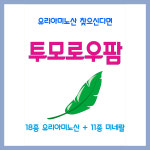 투머로우팜 500ml 18종 유리아미노산 : 제일농약사