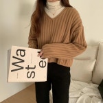 여성 울 골지 브이넥 루즈핏 숏 니트 : 지오네 옷사는데