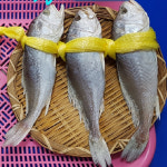 [경산시 배달] 푸짐하게 조기(소) 3마리 [하양 바다수산] : 동네시장 장보기