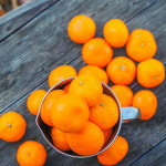 제주과일 당도 높은 맛좋은 타이벡 노지 감귤 5kg 서귀포 은순이네 감귤 농장 : 행이마켓