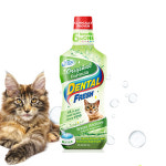 시너지 랩 덴탈 후레쉬 캣 오리지널 236ml 고양이 전용 치석예방 : 바우샵