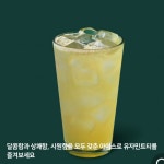 웰파인 유자애플 고농축베이스 1.5kg / 스타벅스 유자민트티,과일,잼,주스,에이드,아이스티 : 티그레이스Tea.Grace