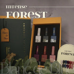 블랑드블루 두번째 컬렉션 인텐스 포레스트 6종 : 아이엠배배