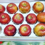 껍질채 먹는 거창 꿀 사과 5kg : 거창한상회