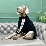 Bigdog 대형견 어깨 무늬 티셔츠 중형견 소형견 골든 리트리버 가을 겨울 블랙 그레이 : 나에게 주는 선물 가게