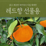 승환이네농장 새콤달콤 고당도 레드향 선물용 3kg 대과 9~10수 중과12~13수,  5kg 대과15~16수, 중과18~20수 : 아빠는농부다