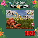 영암 밤 고구마 10Kg 무농약 황토 햇고구마 농림축산식품 영암군 : 건강그린mall