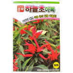 하늘초고추씨앗 50립 24년 : 제일농약사