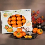 단감 5kg (특품) 진주 싱싱단감 : 싱싱단감농장