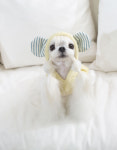 오파프 LULU Bear Dress(Yellow) : 코코 프렌즈