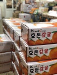 제주도 서귀포 한농원 효돈감귤 5k  10kg : 서귀포 한농원