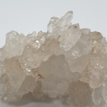 히말라야 백수정 : 인디아라