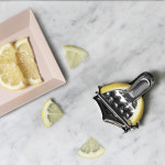 일본 프레이즈 스텐 미니레몬즙짜개 / 레몬스퀴저 : 에이치코리아