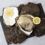 거제도 해녀 자연산 바위굴 원물 5kg 생굴 벚굴 굴 석화 : 숨비해물