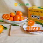 서귀포 효돈농협 다우렁 비가림감귤 2.5kg, 5kg : 효돈농협